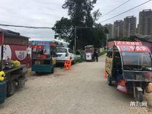 今日莆田最新爆料,揭秘神秘事件背后的真相！”