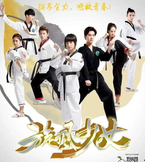 旋风少女在线观看免费,青春热血，舞动青春梦想！